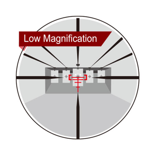 Low-Magnification